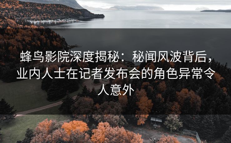 蜂鸟影院深度揭秘：秘闻风波背后，业内人士在记者发布会的角色异常令人意外
