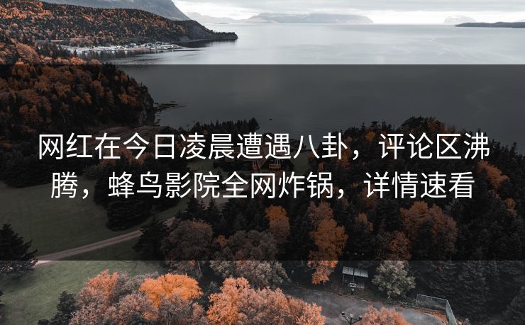 网红在今日凌晨遭遇八卦，评论区沸腾，蜂鸟影院全网炸锅，详情速看