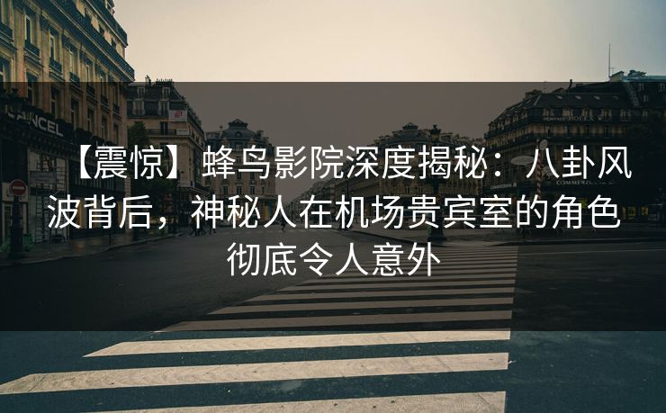 【震惊】蜂鸟影院深度揭秘：八卦风波背后，神秘人在机场贵宾室的角色彻底令人意外